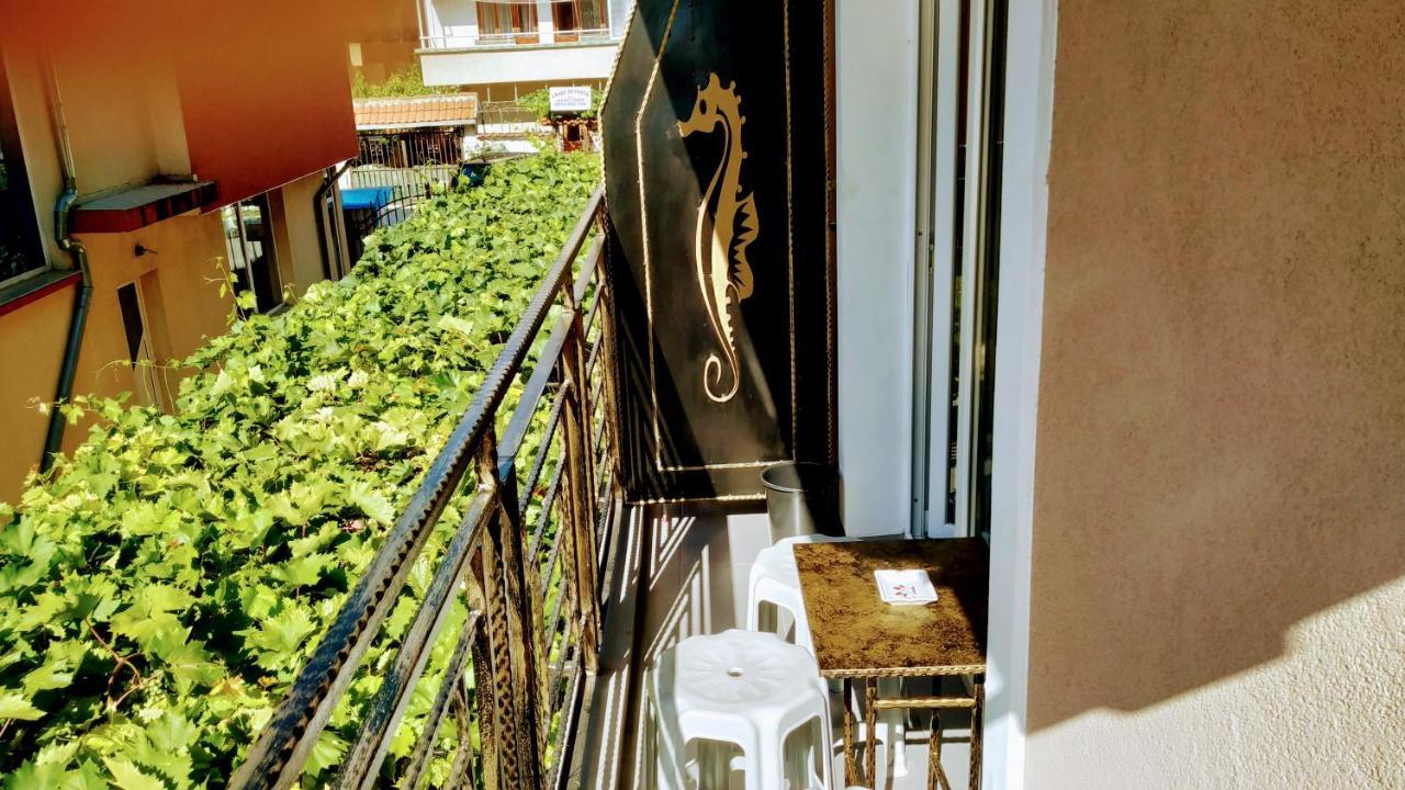 Dracena Guesthouse Ravda Exterior photo